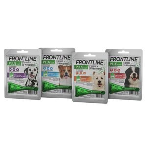Packshot-Cachorros--Plus-Cachorros-P,-M,-G-e-GG-